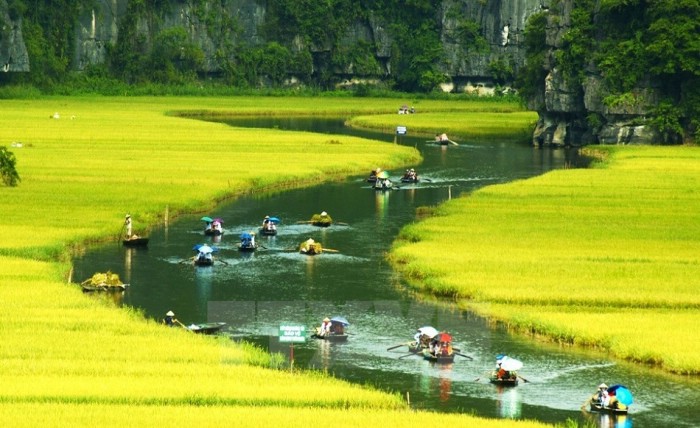 Du Lịch Hoa Lư – Hang múa - Tam Cốc- Bích Động 1 Ngày