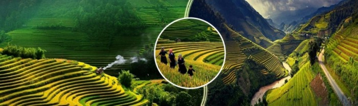 Du lịch Sapa 3 ngày 2 đêm(1 Đêm Ngủ KS, 1 Đêm ngủ bản)